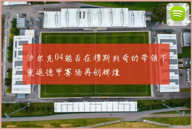 沙尔克04能否在穆斯利奇的带领下重返德甲赛场再创辉煌