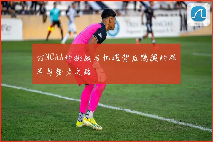打NCAA的挑战与机遇背后隐藏的艰辛与努力之路