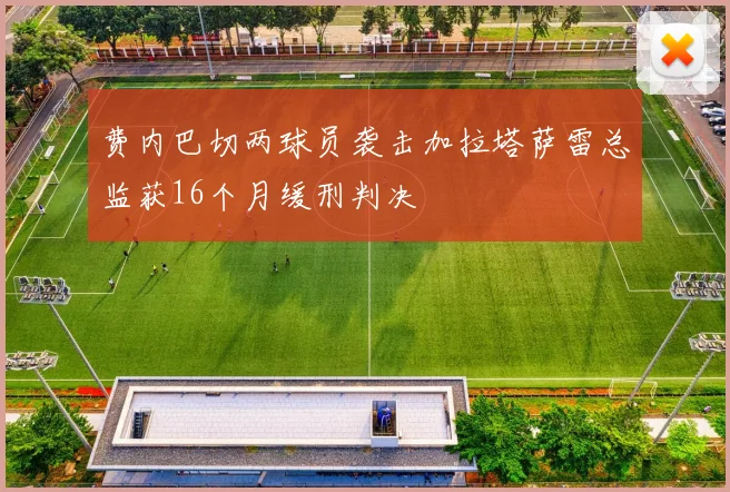 费内巴切两球员袭击加拉塔萨雷总监获16个月缓刑判决