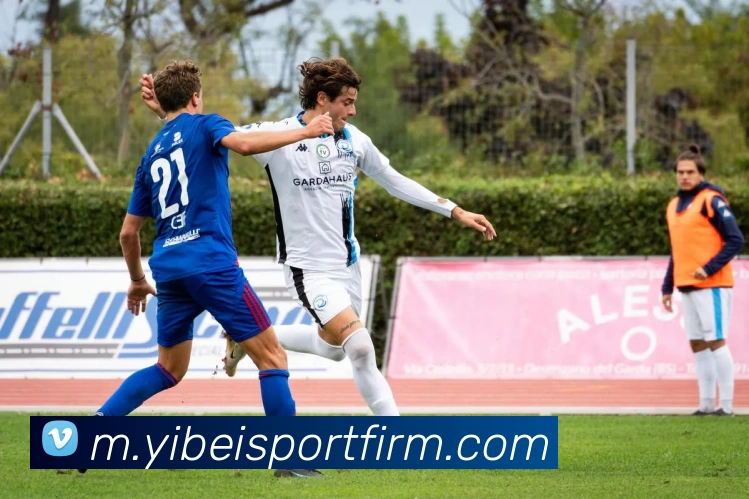 易倍体育平台生态图